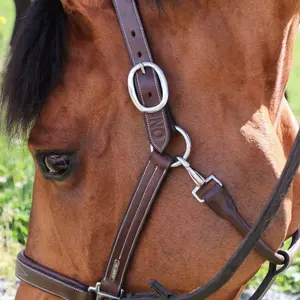 Halter for horse Jump'In Fancy image-4