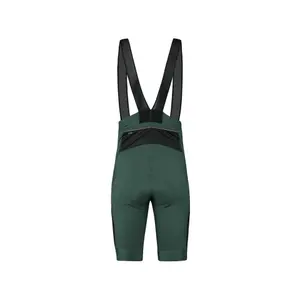 Bib shorts Löffler Skys XT image-1