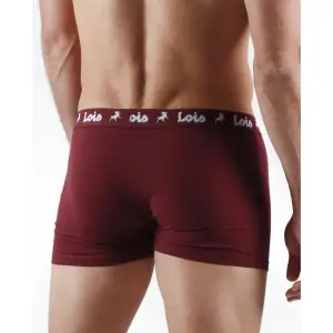 Boxer en coton élastique lisse Lois Basic (x2) image-1