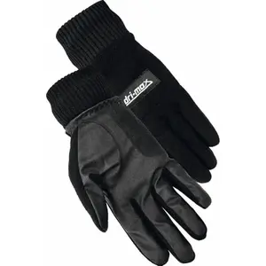 Pair of winter gloves Longridge Dri Max