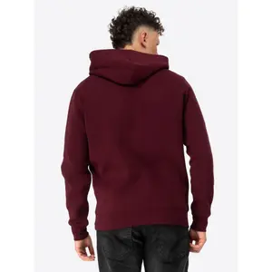 Sudadera con capucha Lonsdale Wolterton image-1