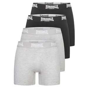 Boxer Lonsdale East Challow (x4) image-0