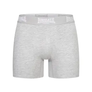 Boxer Lonsdale East Challow (x4) image-1