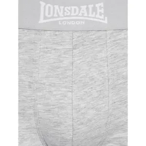 Boxer Lonsdale East Challow (x4) image-2