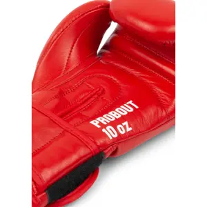Leather boxing gloves Lonsdale Probout Dbv Contest image-2