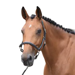 Grooming halter for horses Jump'In Collection One image-1