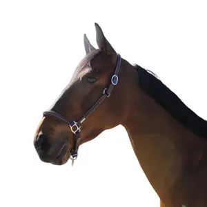 Grooming halter for horses Jump'In Collection One image-2