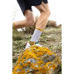 Skarpetki biegowe Lorpen Pruc Pro Ultra Run image-4