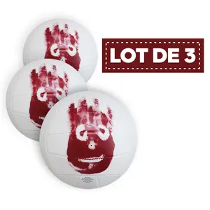 Juego de 3 Balones de Beach-Volley Wilson Seul au monde image-0