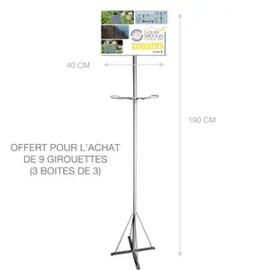 Oggetto decorativo girouette coq Louis Moulin image-1