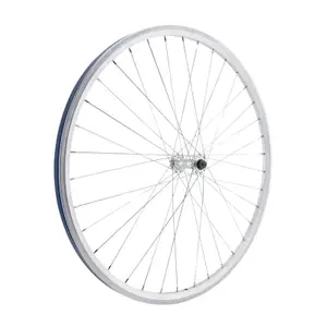 Roue Anteriore A doppia Parete Freno a Pattino LRT QR 10 image-1