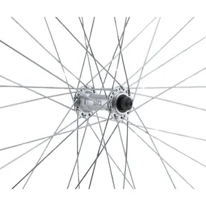 Roue Anteriore A doppia Parete Freno a Pattino LRT QR 10 image-2