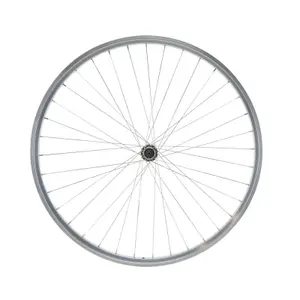 Roue Anteriore A doppia Parete Freno a Pattino LRT QR 10