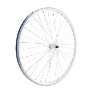 Roue Anteriore A doppia Parete Freno a Pattino LRT QR 10 image-1