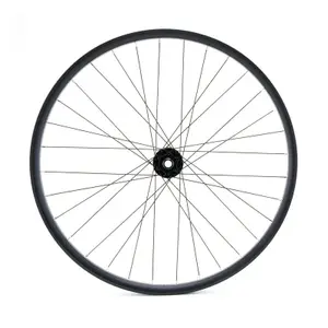 Roue Anteriore A doppia Parete Freno a Pattino LRT 15 x 100