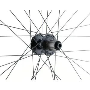 Ruota posteriore LRT 12 x 142 image-2