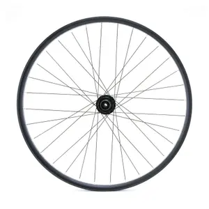 Ruota posteriore LRT 12 x 142