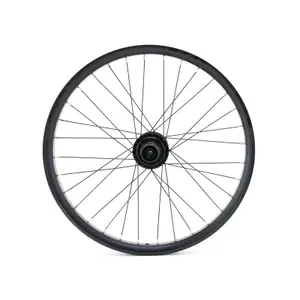 Ruota posteriore LRT 12 x 142