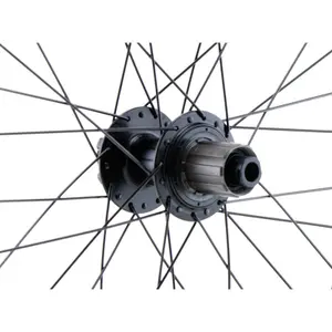 Ruota posteriore LRT 12 x 142 image-2