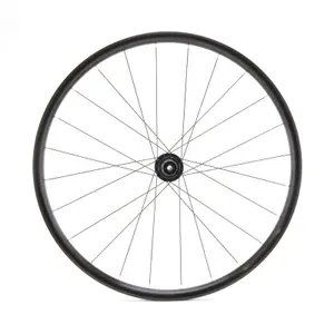 Ruota posteriore doppia parete pattini LRT 12 x 142