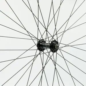 Roue Anteriore A doppia Parete Freno a Pattino LRT QR 10 image-2