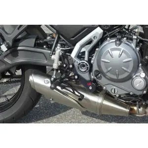 Spare parts for rear motorcycle brake lever assembly LSL 110M018SW image-0