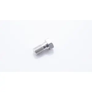 Banjo screws LSL M10 x 1.00 image-0
