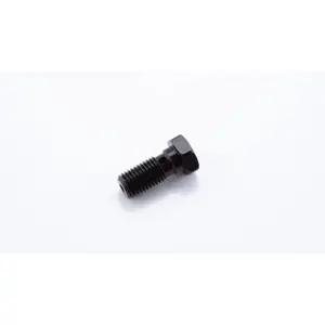 Banjo screws LSL M10 x 1.25 image-0