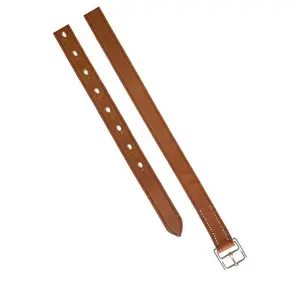 Reitsteigern Ludomar