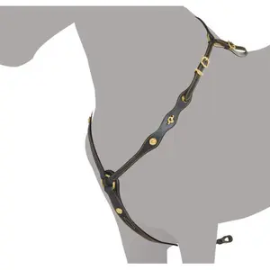 Jagdhalsband für Pferde Ludomar Cortezia