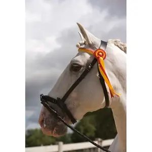 Leather halter for horse Ludomar image-0