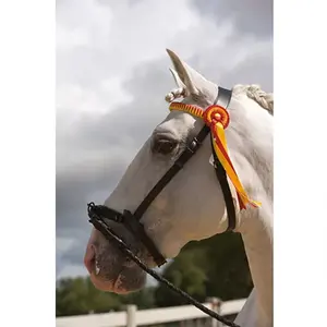 Leren halster voor paarden Ludomar image-0