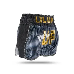 Short de boxe Thaï Lvl Up LVL Up Flash 2 L image-1