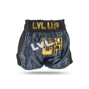 Short de boxe Thaï Lvl Up LVL Up Flash 2 L image-0