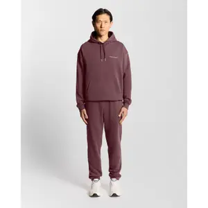 Hooded sweatshirt Lyle & Scott Script Brushback image-2