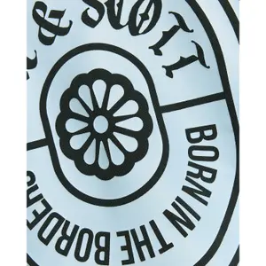 Hooded sweatshirt Lyle & Scott Graphic image-6