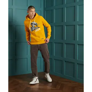 Hoodie Superdry Mascot Varsity image-1