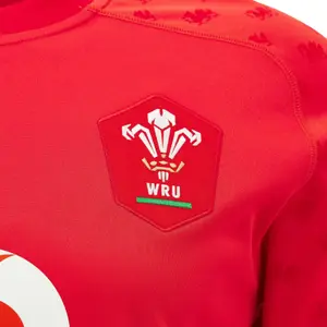 Hjemmebanetrøje Wales 2026/27 image-2