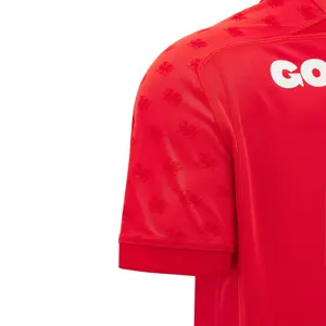Hjemmebanetrøje Wales 2026/27 image-3
