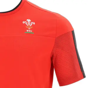 Camisola de viagem en algodão Pays Galles 2020/21 image-2