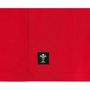 Jersey Pays de Galles Ca Groc image-3