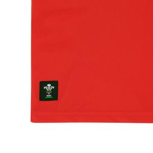 Kid's jersey Pays de Galles Ca Groc image-3