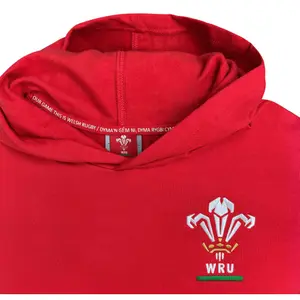 Wales-i kapucnis pulóver Rugby XV Merch CA Groc image-3