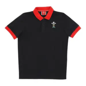 Polo-Shirt Pays de Galles Rugby XV Merch CA LF image-0