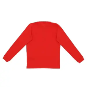 Langærmet poloshirt til børn Pays de Galles image-1