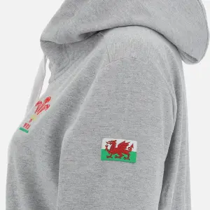 Sweatshirt à capuche full zip femme Pays de Galles Rugby XV Merch CA LF image-2