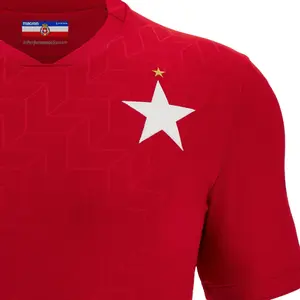 Home jersey Wisla Cracovie 2022/23 image-2