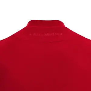 Home jersey Wisla Cracovie 2022/23 image-3