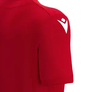 Home jersey Wisla Cracovie 2022/23 image-4