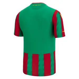 Home jersey Ternana Calcio 2022/23 image-1